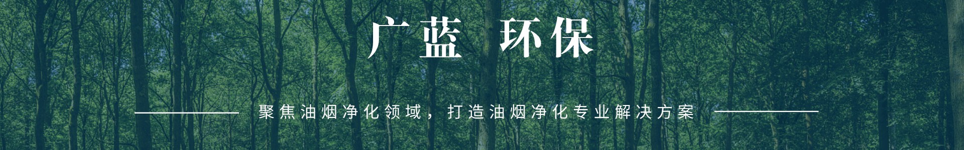 油煙凈化器設備_餐飲廚房油煙凈化設備工程廠家_深圳廣藍環(huán)保